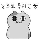 전주진국밥경주