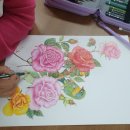 힐링 꽃과 식물 세밀화 이미지