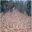 적성도로 옆 이미지