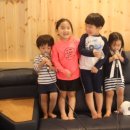 숲속의돌담