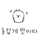 돌탄등갈비찜 봉동점 이미지