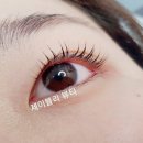 제이블리뷰티 - 21356 | 제이블리뷰티