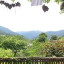 하우스못골 이미지