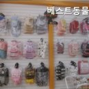 베스트동물병원 이미지
