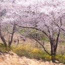 모악산주차장 이미지