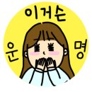 빈스앤베리즈 갤러리아포레점 이미지