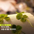 허그스 이미지