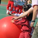 공굴리기 이미지