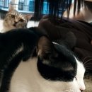 집사의하루 혜화점 이미지