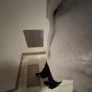 이선생댁 | 굿바이 2025