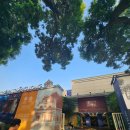 황성약국 이미지