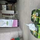 피자마루 홍성점 이미지