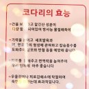 윤남희맛집코다리 이미지