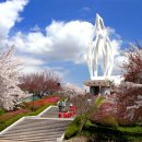 군산영광여자고등학교 이미지