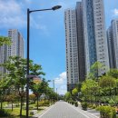 일리카페 펜타힐즈점 이미지