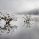 민행리더스 행정사사무소 이미지