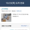 희망무선 | 오아 두드림 무선 핸드안마기 내돈내산 후기 사용 간편한 마사지기