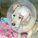 천상의 보금자리 이미지