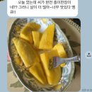동화청과(주) | 양구사과와 신비복숭아