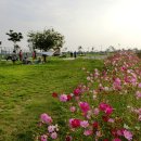 낙동강변7 이미지