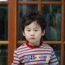 큰나무유치원 네이버블로그