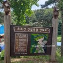 초록산산림욕장 이미지