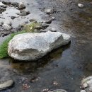 마곡사 가는길 민박 이미지