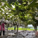 이순희농장 이미지