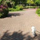 시낭공원 이미지