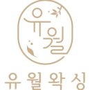 유월왁싱