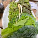 돈내고 돈먹기 이미지