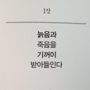 몽테뉴