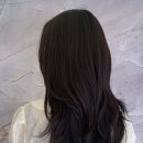 살롱드리젠