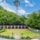 글램독 양양 이미지