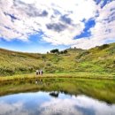 관광 꿈꾸는숲 펜션 이미지