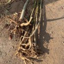 교훈농장 이미지