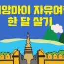마오카페(MAO CAFE) 이미지