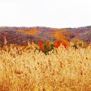 경안천습지생태공원 이미지