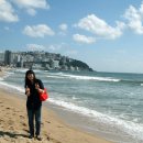 해운대 - 해운대구 구남로18번길 24 | 해운대