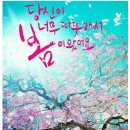 대평약국 네이버블로그