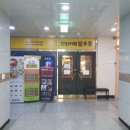 벌툰옥정