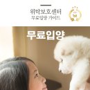 강아지분양 고양이분양 컴투펫 수원점 이미지