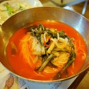 토성오리