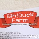 오덕농장 이미지