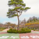 용두공원로 이미지