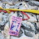 내고향젓갈상회 이미지