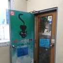 내친구고양이 | 중랑구 아이랑 갈만한 곳 추천 내 친구 고양이 카페 방문 후기