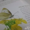 과학아 나랑놀자 이미지