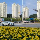 농산물관리원사무소앞 이미지