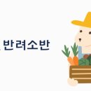 댕이냥이
